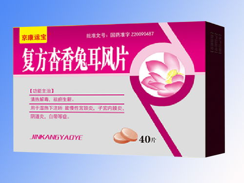 婦科產(chǎn)品代理加盟與計算機軟件開發(fā)招商代理的機遇與策略